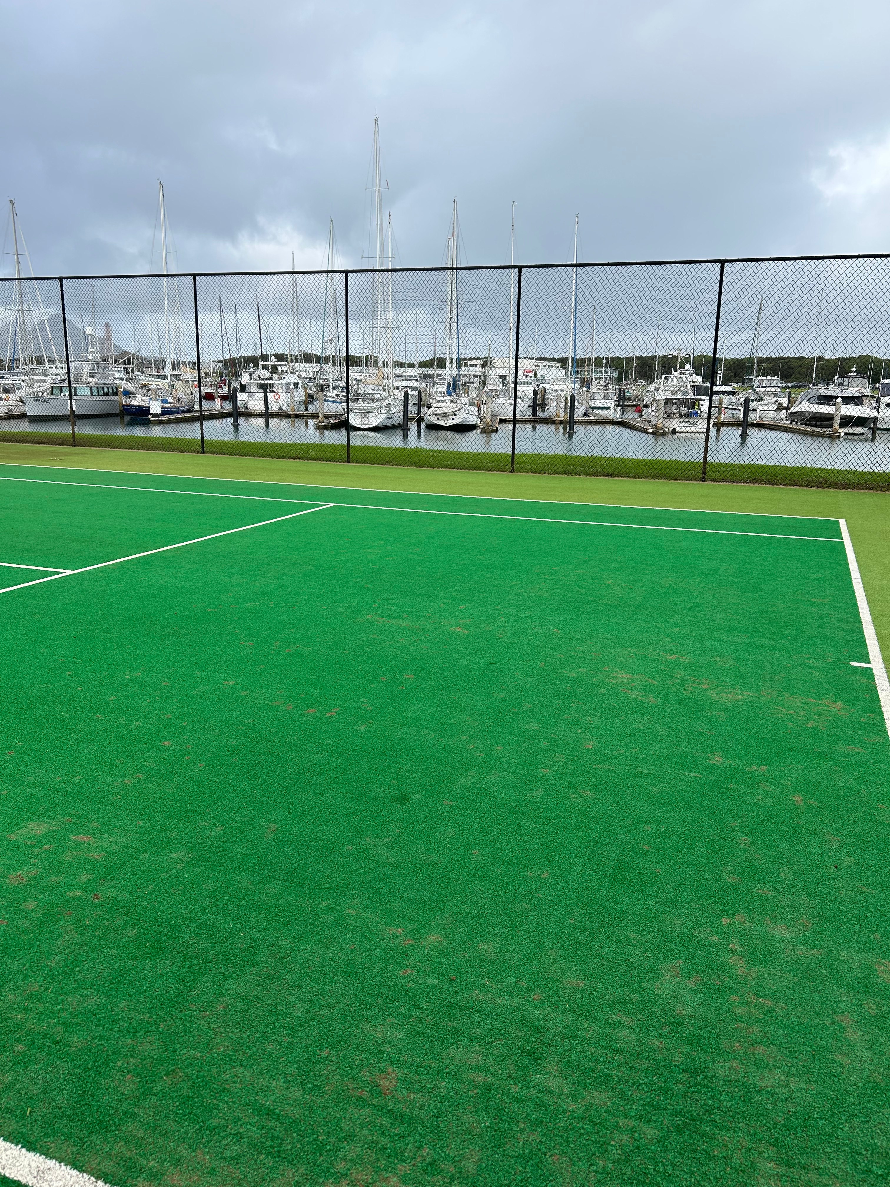 Artificial Turf Court Moss Treatment - after cleaning