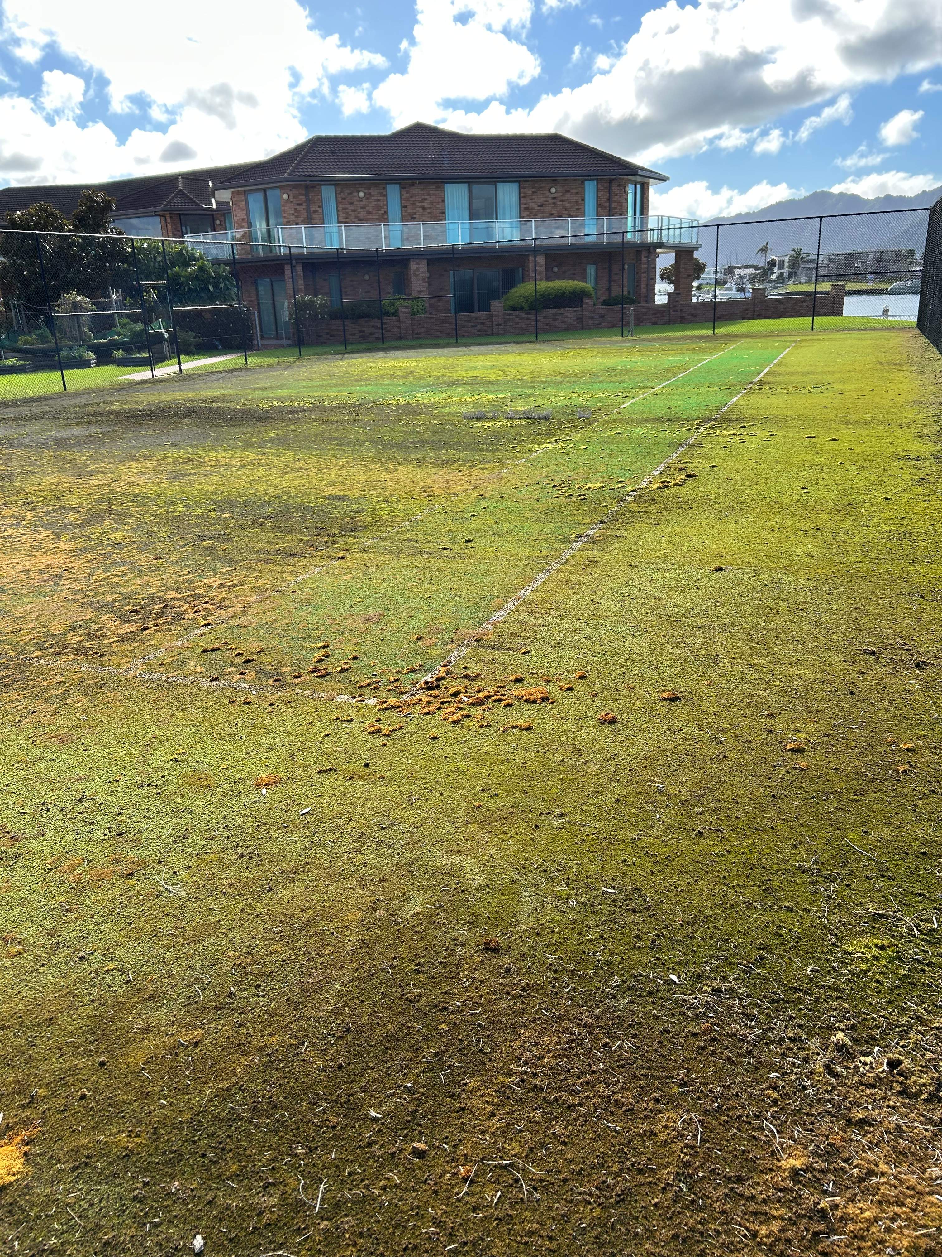 Tennis Court Deep Clean - before cleaning